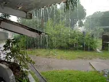 Ganesha predicts average rainfall this Monsoon